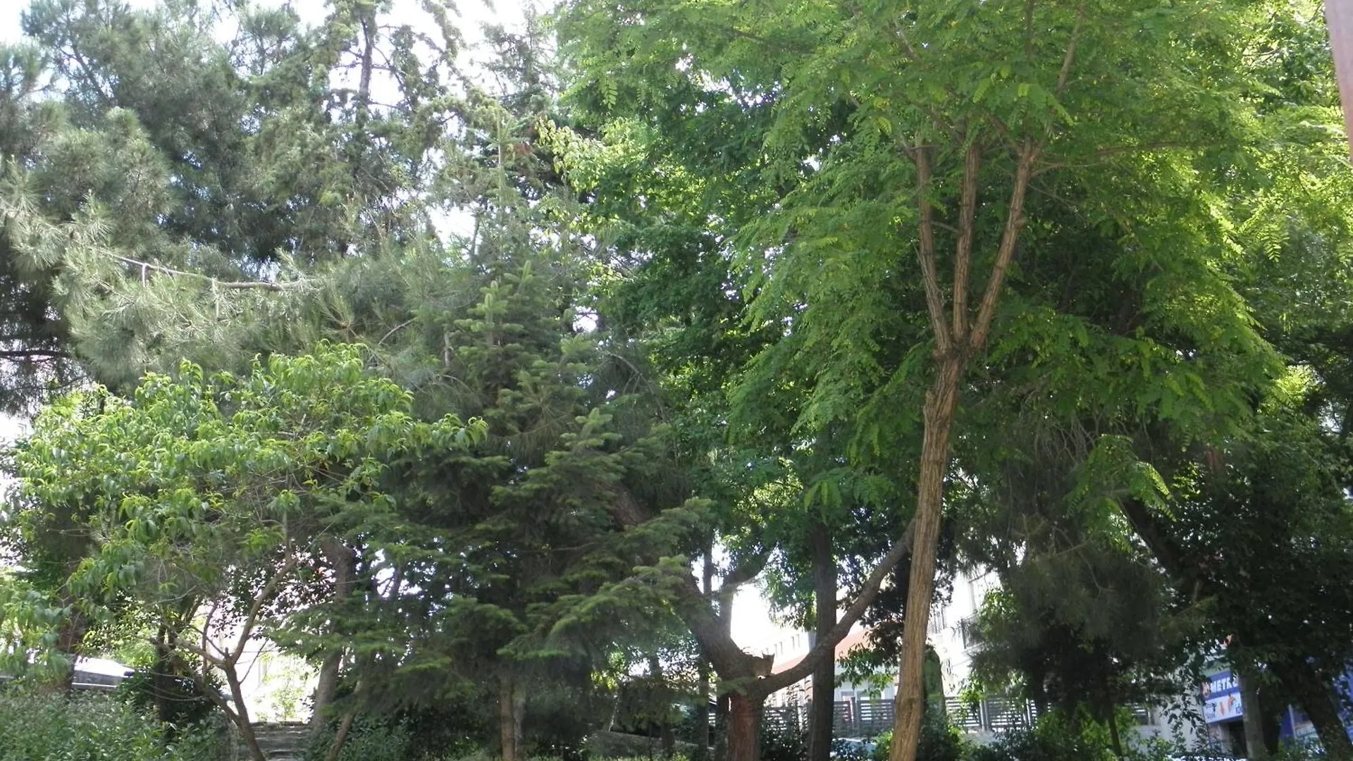 Omar Sultan Park Suites イスタンブール